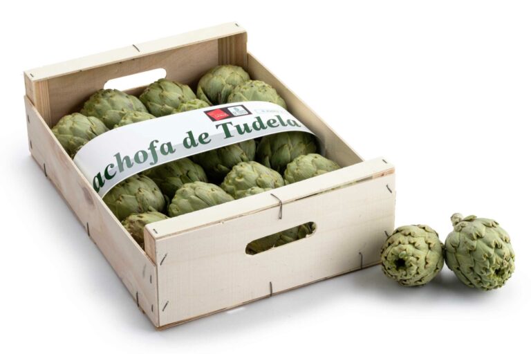 Alcachofa de Tudela