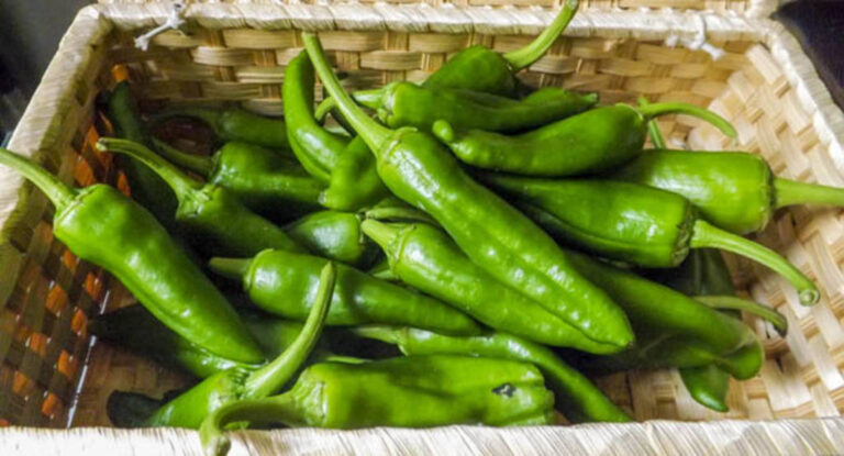 Pimientos3
