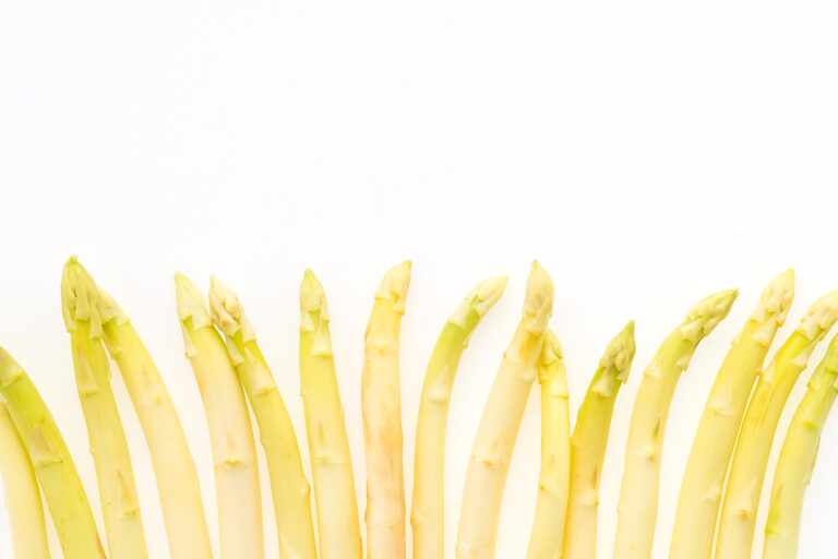 White asparagus vegetable isolated on white background