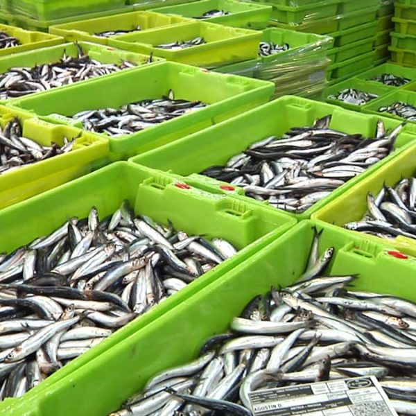 20250311105125_anchoas-getaria_amp_w1200