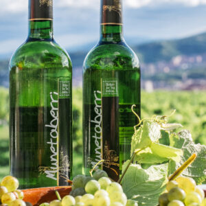 Txakoli-Bilbao-Munetaberri-bodegon