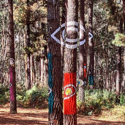 ojos-bosque-oma-920x796